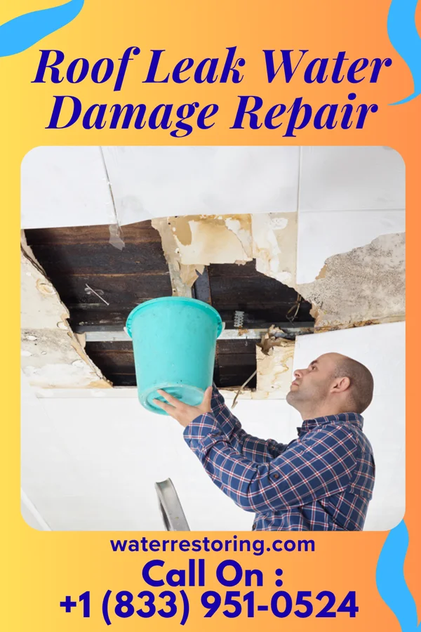 Roof Leak Water Damage Repair in Leesburg, FL